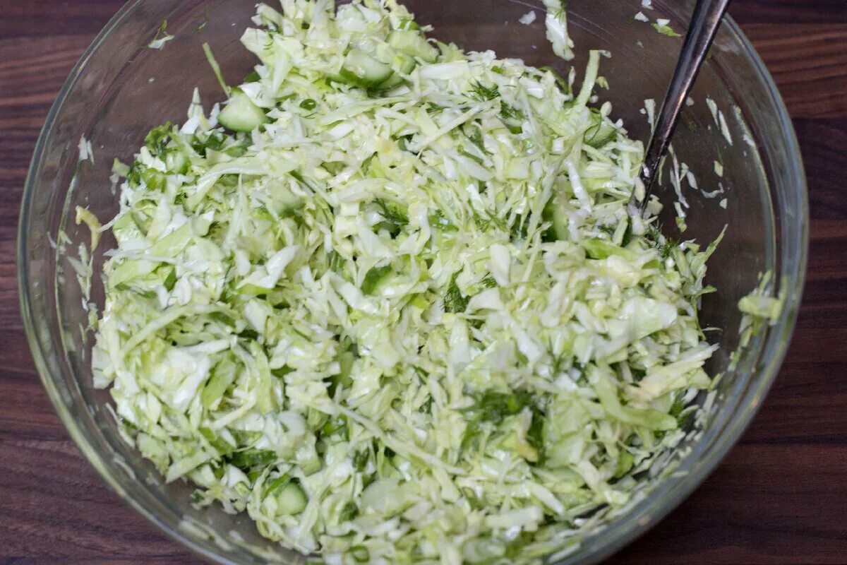 Салат из капусты фото. Свежие огурцы с капустой. Салат с капустой и огурцом. Салат из капусты свежей с огурцом и укропом. Салат капуста огурец укроп.