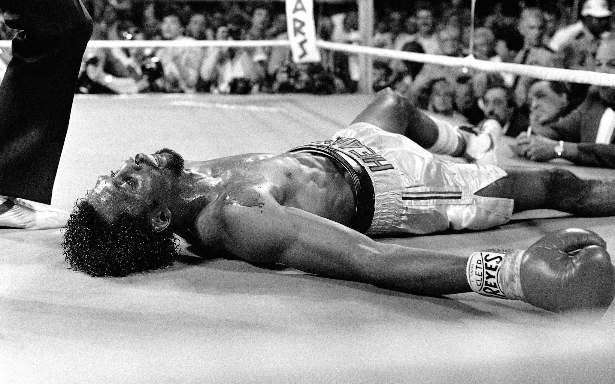 He fought that. He fought that. Тодд даффи алистар оверим. Ган боец юфс. Тодд даффи алистар оверим.