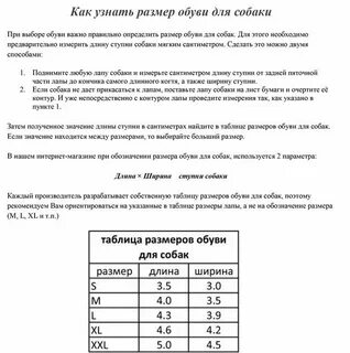 Как определить размер собачки