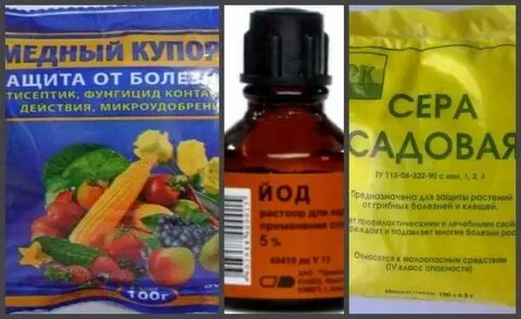Сера садовая