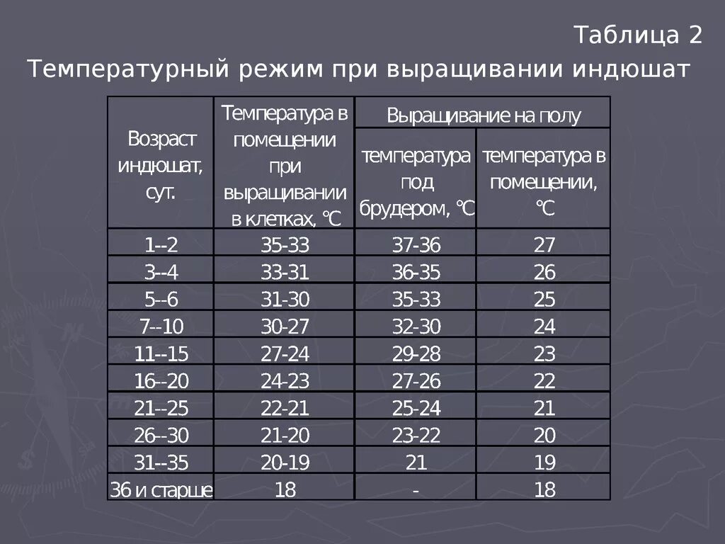 Температурный режим для индюков таблица. Температурный режим для цыплят бройлеров таблица. Температурный режим для индюшат таблица. Температурный график выращивания бройлеров. При какой температуре можно цыплят