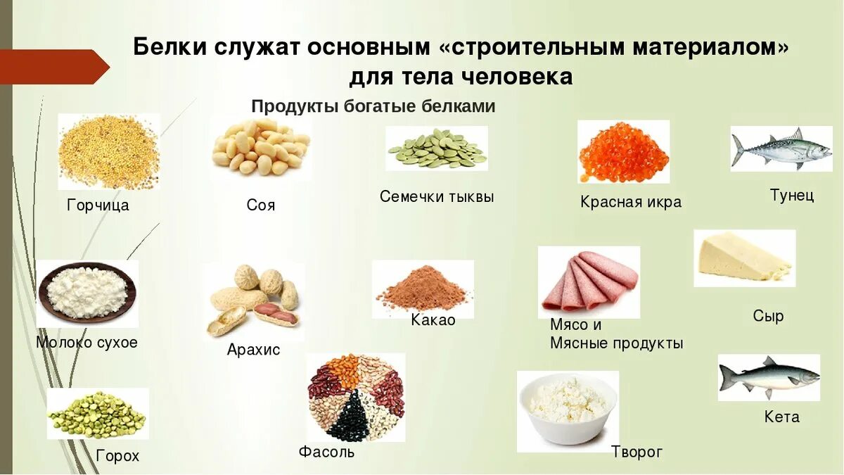 Где белки в пище. Продукты богатые белками. Продукты богатые велком. Продукты питания богатые белками. Продукты богатые Белко.