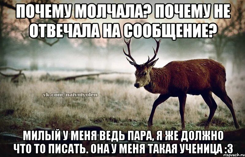 Почему молчишь не отвечаешь. Давай расстанемся. Но мы не можем быть вместе. Расставание фразы. Нам надо быть вместе.