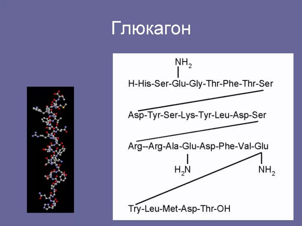 Глюкагон формула структурная. Глюкагон химическая формула. Глюкагон гормон формула. Химическая структура глюкагона.