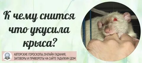 Приснились укусы