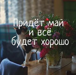 Пришел май
