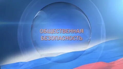 Видеоурок государственная и общественная безопасность
