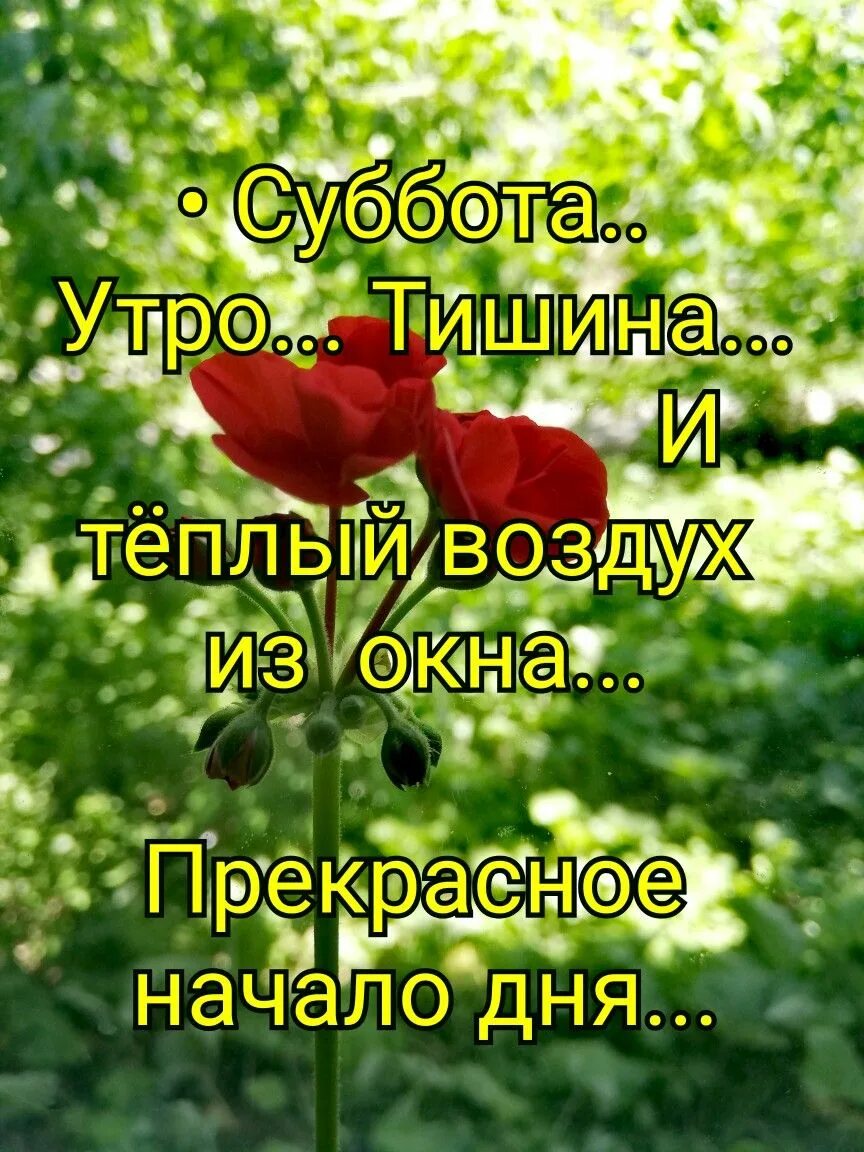 С добрым летним днем субботы. С добрым утром родительской субботы. с летним субботним утром. с добрым утром ароельской субботы. с добрым летним субботним утром.