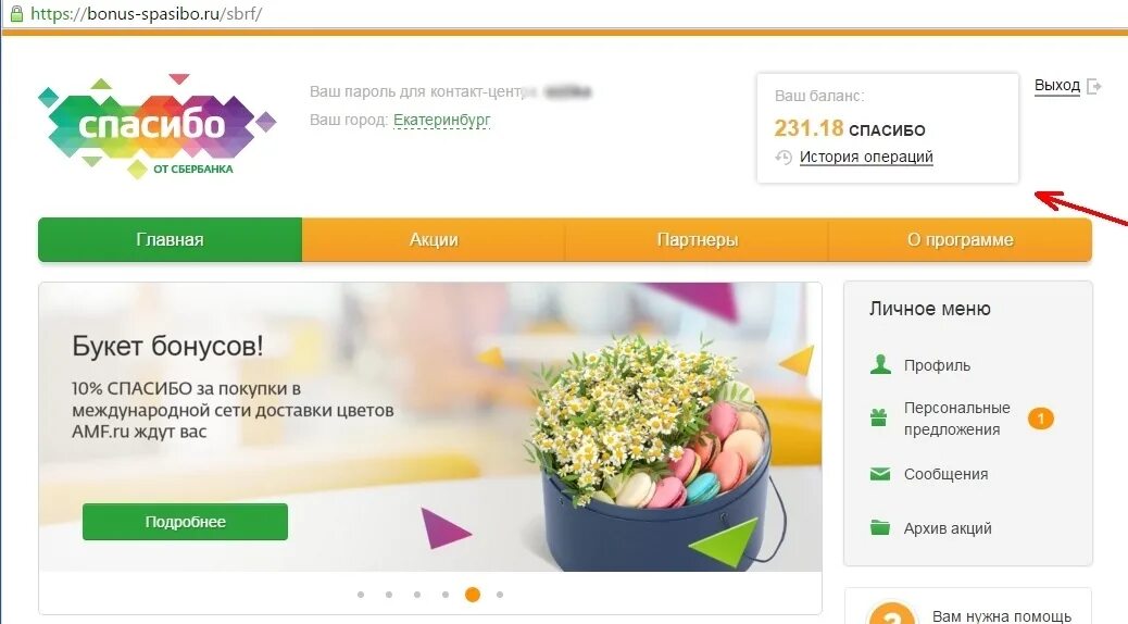 Баланс сбер спасибо. Бонусы спасибо от Сбербанка в личном кабинете. Сбербанк спасибо личный кабинет. Бонусы спасибо от Сбербанка личный кабинет.