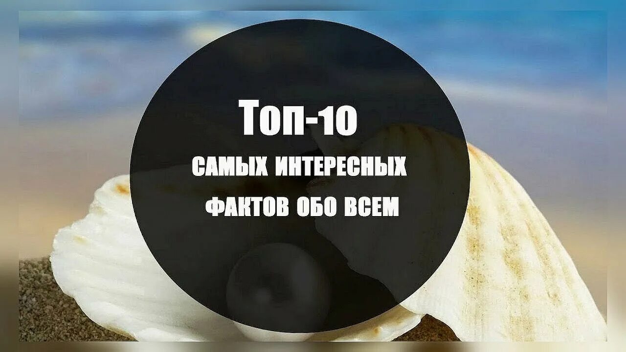 10 Интересных фактов. 10 Фактов обо всем. Топ интересных фактов. Топ 10 фактов. Удивительные факты часть 2