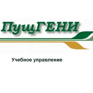 Пущгени сайт
