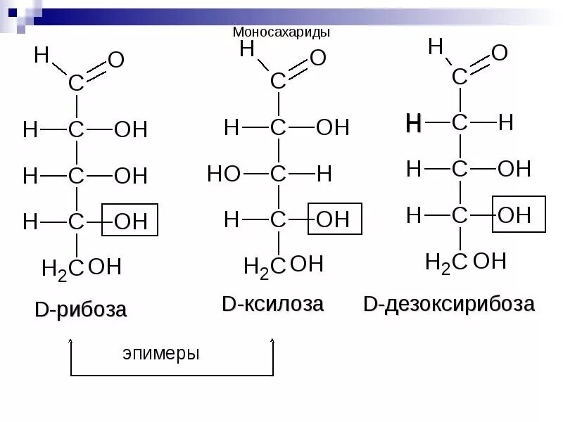 Наиболее распространенный моносахарид. Ксилоза это моносахарид. Ксилоза формула химическая. Формула моносахарида в химии. Структура моносахаридов общая формула.