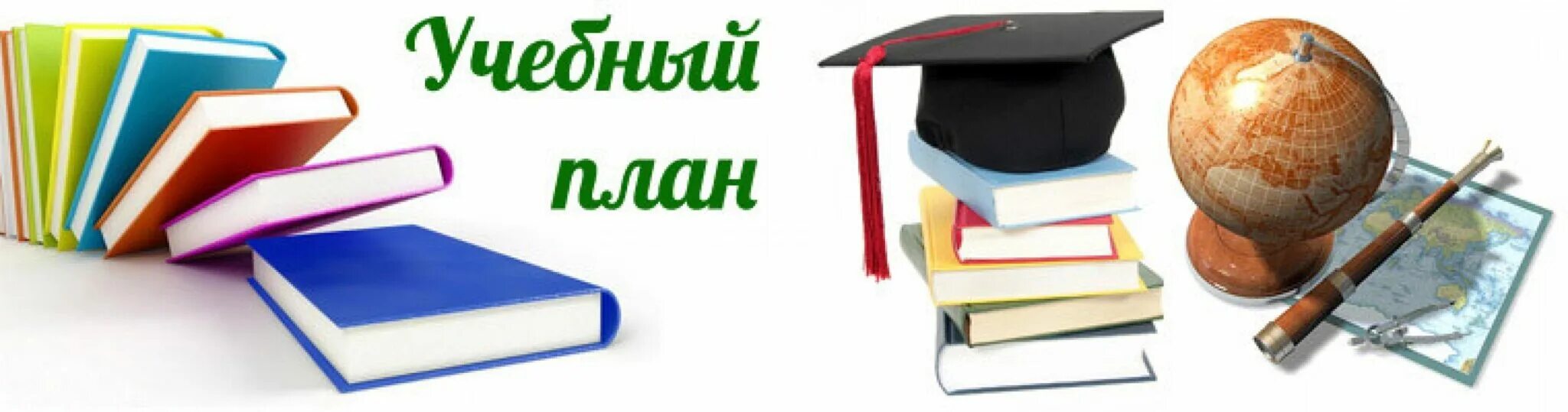 Индивидуальный проект по биологии темы - Basanova.ru