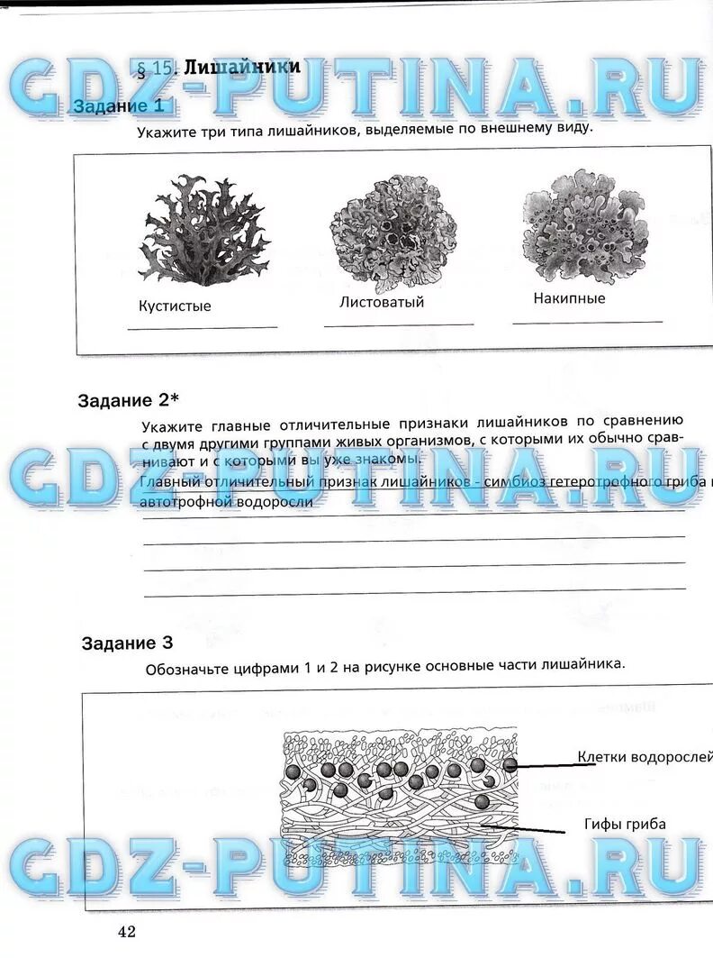 5 класс биология рабочая тетрадь параграф 15. Биология 5 класс рабочая тетрадь лишайники. Рабочая тетрадь по биологии лишайники. Укажите типы лишайников. Укажите три типа лишайников.