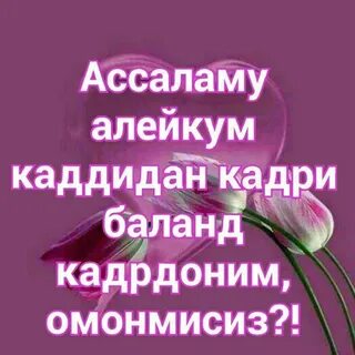Салам вассалам