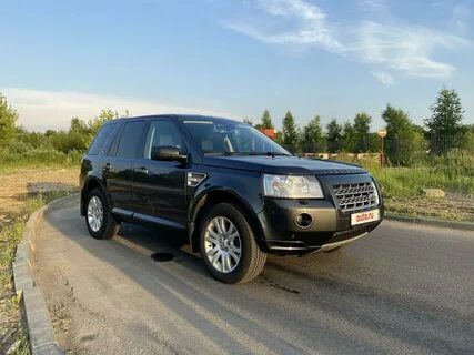 Фрилендер 2009 год