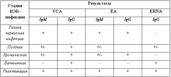 Вэб иммуноглобулины. Антитела к капсидному антигену вируса Эпштейна-Барр IGG. Антитела к вирусу Эпштейна Барра расшифровка. Антитела к вэб расшифровка таблица. Антитела класса IGG К ядерному антигену вируса Эпштейна-Барр.