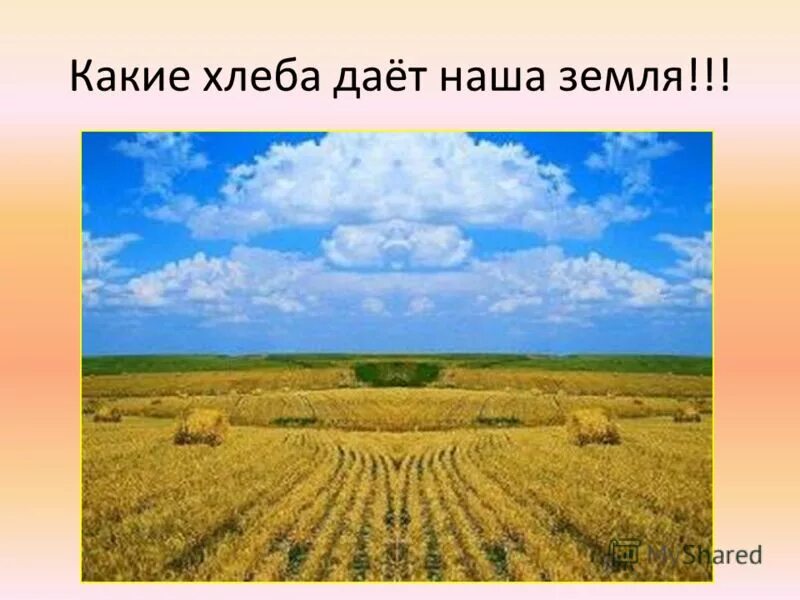 Проект земля отцов наша земля. Земля новгородская ефетов м. Кубань земля отцов моя земля. Земля отцов наших книга. Земля отцов земля детей.