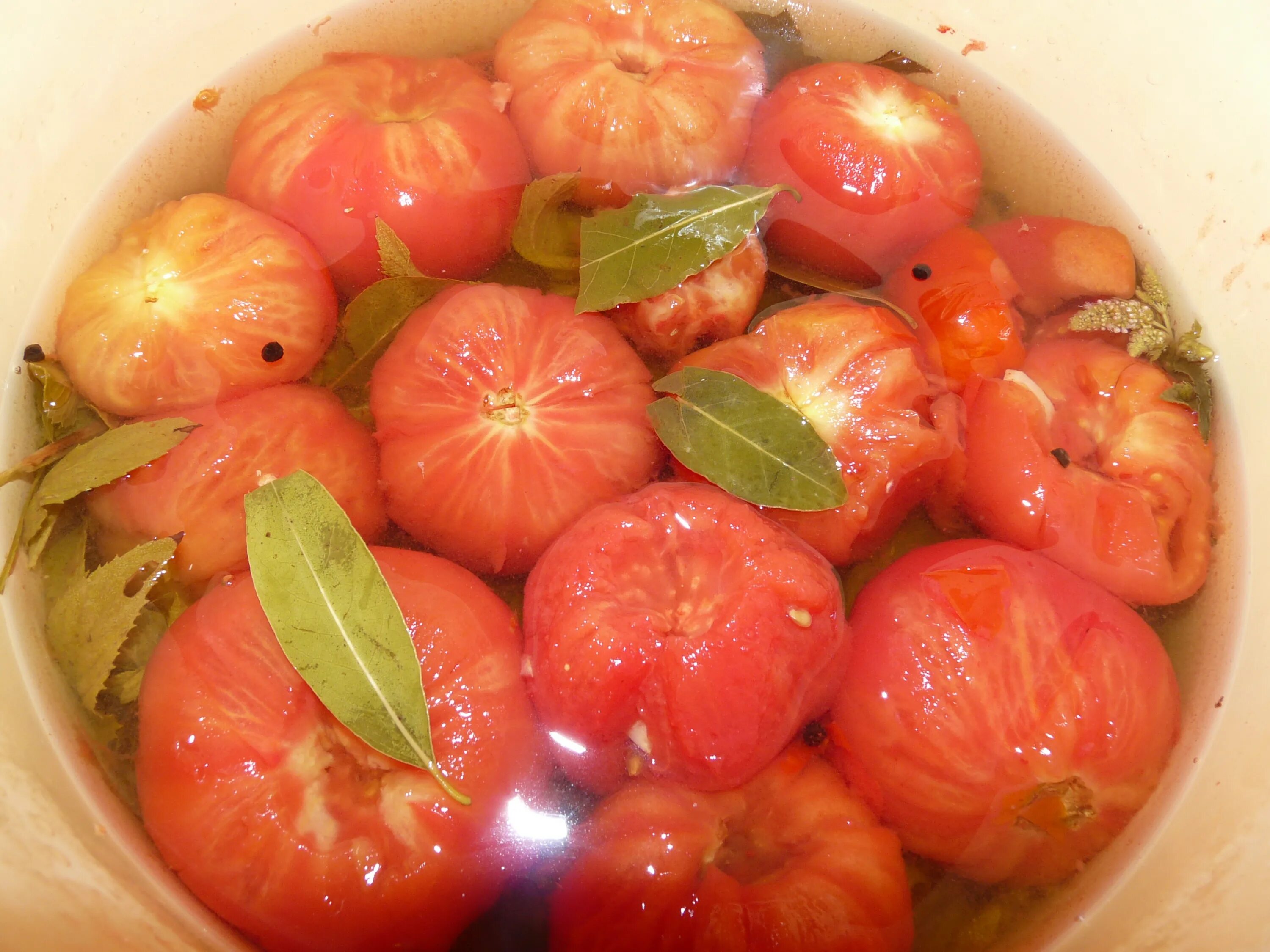 Помидоры любят солнце. Любимый томат. Гоги ты помидоры любишь.