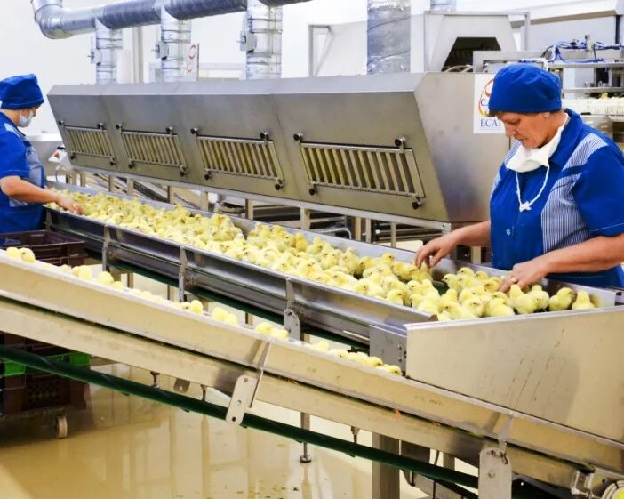 птицефабрика рефтинская свердловская область. птица фабрика рефтинский. птицефабрика рефтинская свердловская область. поселок рефтинский рефтинская птицефабрика. птицефабрика рефтинская асбест.