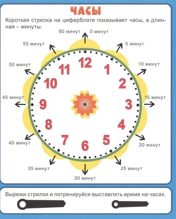 Как научиться определять людей. Как научить ребёнка времени по часам. Научить ребенка определять время по часам циферблат. Изучаем часы с ребенком. Часы для изучения времени.