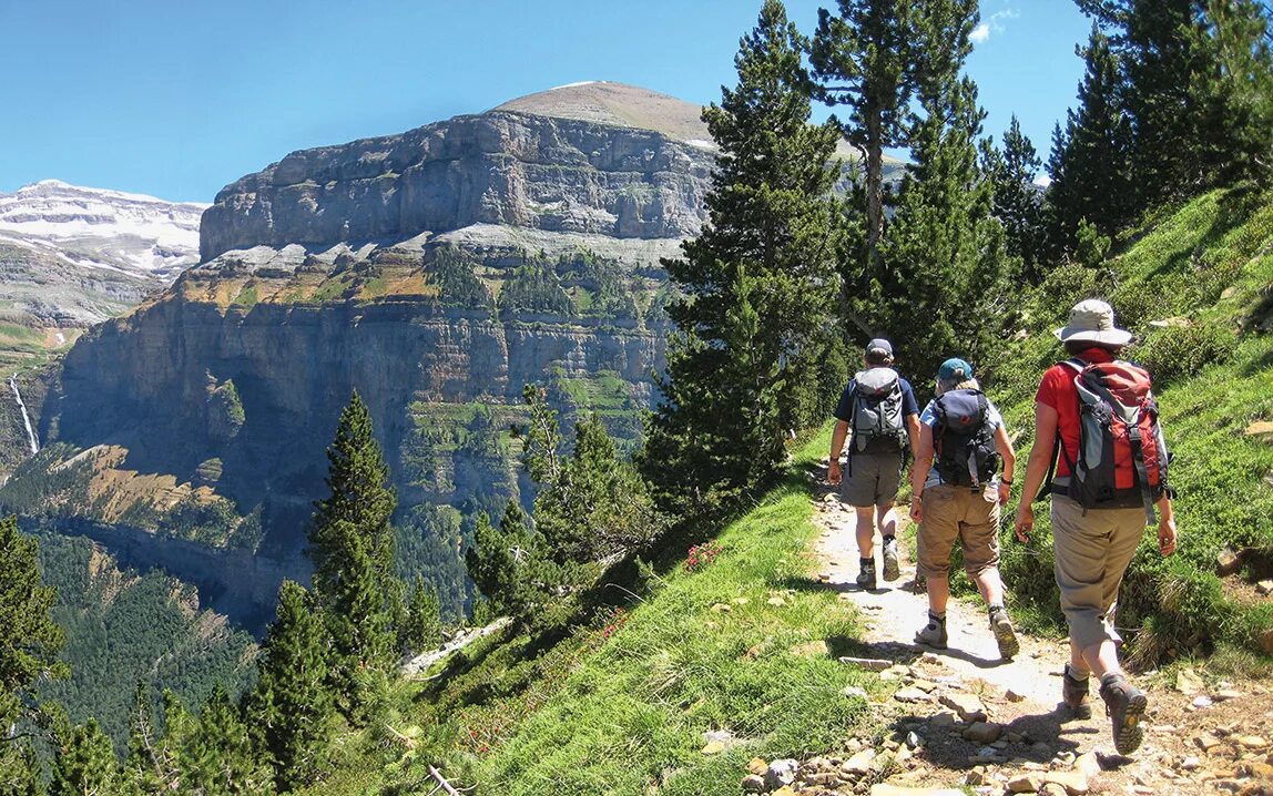 познавательный край