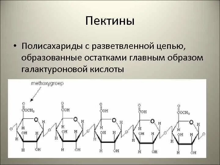 Для изучения строения полисахаридов используют метод. Пектин полисахарид. пектиновые вещества строение. биологическая роль полисахаридов. разветвленный полисахарид.