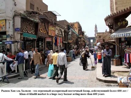 Численность каира