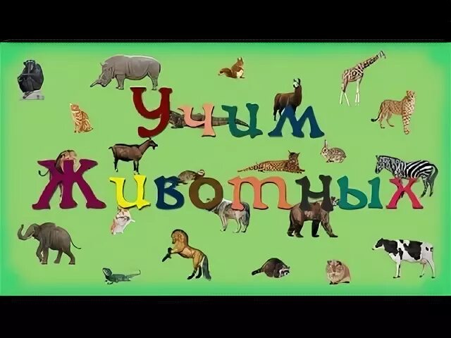 Учим животных 1 год