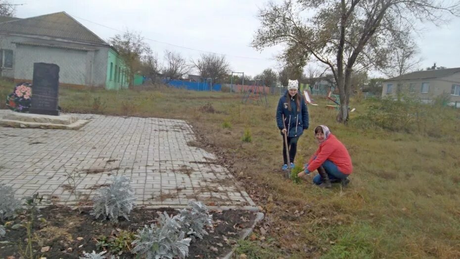 Андреевка подгоренский. Андреевка воронежская область.