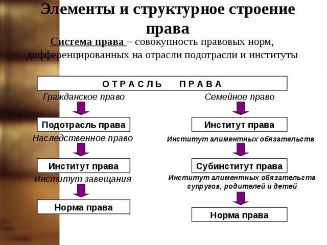 Привести примеры к каждому элементу структуры права Первичный элемент законодательства