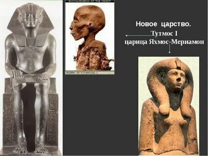 В каком году правил тутмос