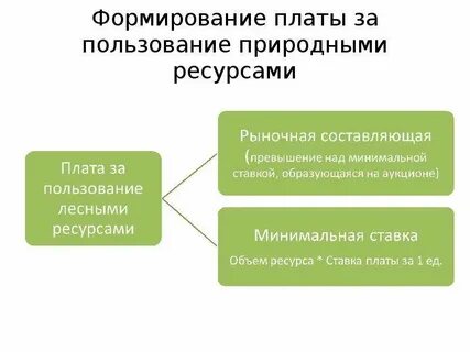 Плата за природные ресурсы