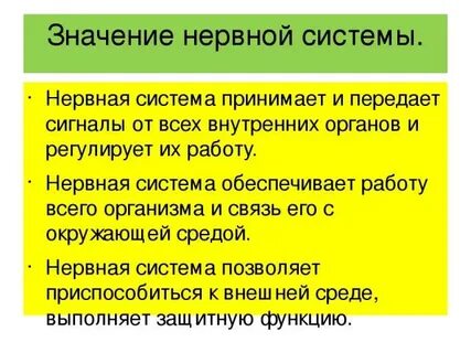 Что значит нервный