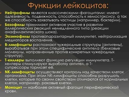 Лейкоциты играют роль