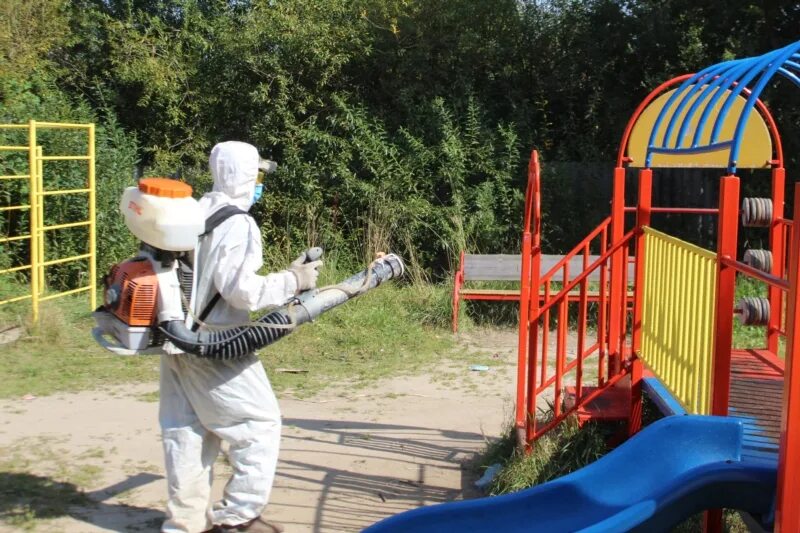 Кристалл вурнары. Орионет вурнары. Эврика вурнары. Вурнары техникум. Пожарный вурнары.