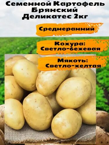 Картошка сорт брянский деликатес. Картошка брянский деликатес описание. Брянский сорт картофеля. Картофель брянский деликатес. Сорт картофеля сантана.