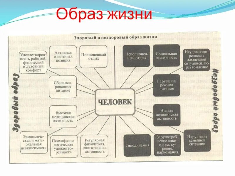 Составляющие ЗОЖ схема. Составляющие здорового образа жизни. Составляющие здорового образа жизни схема. Составляющие ЗОЖ таблица.