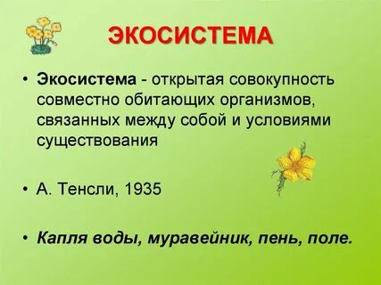 Экологическая система совокупность
