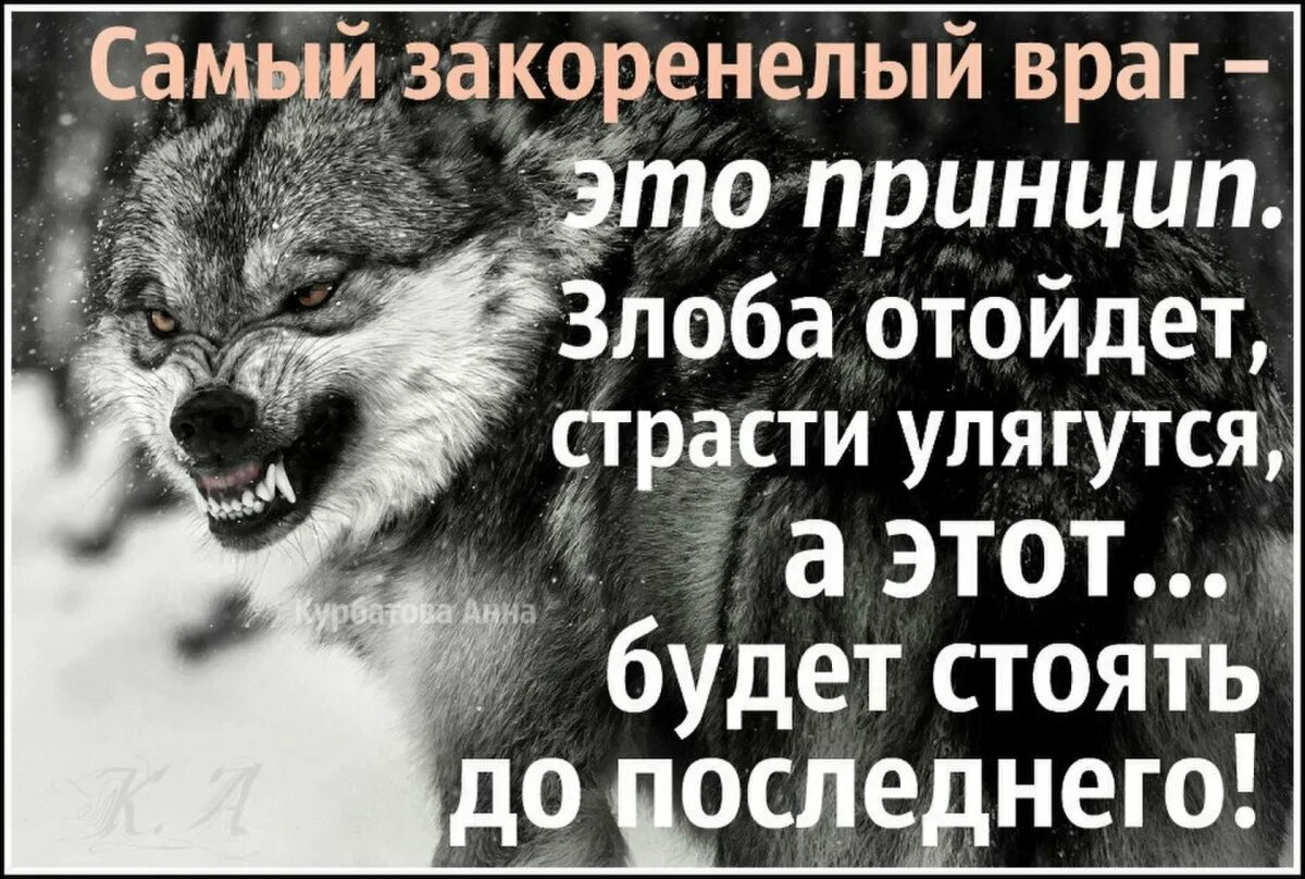 Общий враг это. Цитаты про принципы. принцип жизни цитаты. фразы про принципы. цитаты про врагов.