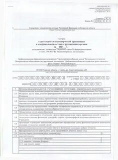 1 нко сведения о деятельности некоммерческой организации