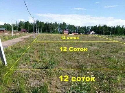 Длина 6 соток в метрах