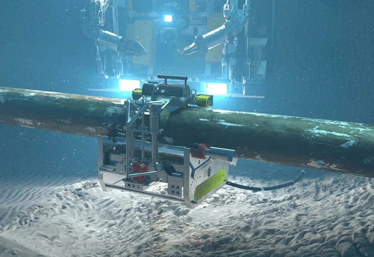 Диверсия это. Юфс дана уайт. Американские террористы. Диверсии сша. Новая политика в америке.