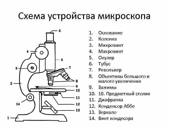 Схема устройства светового биологического микроскопа. Микроскоп строение схема строения. Схематическое строение микроскопа. Оптический микроскоп строение. Части микроскопа и их названия и функции