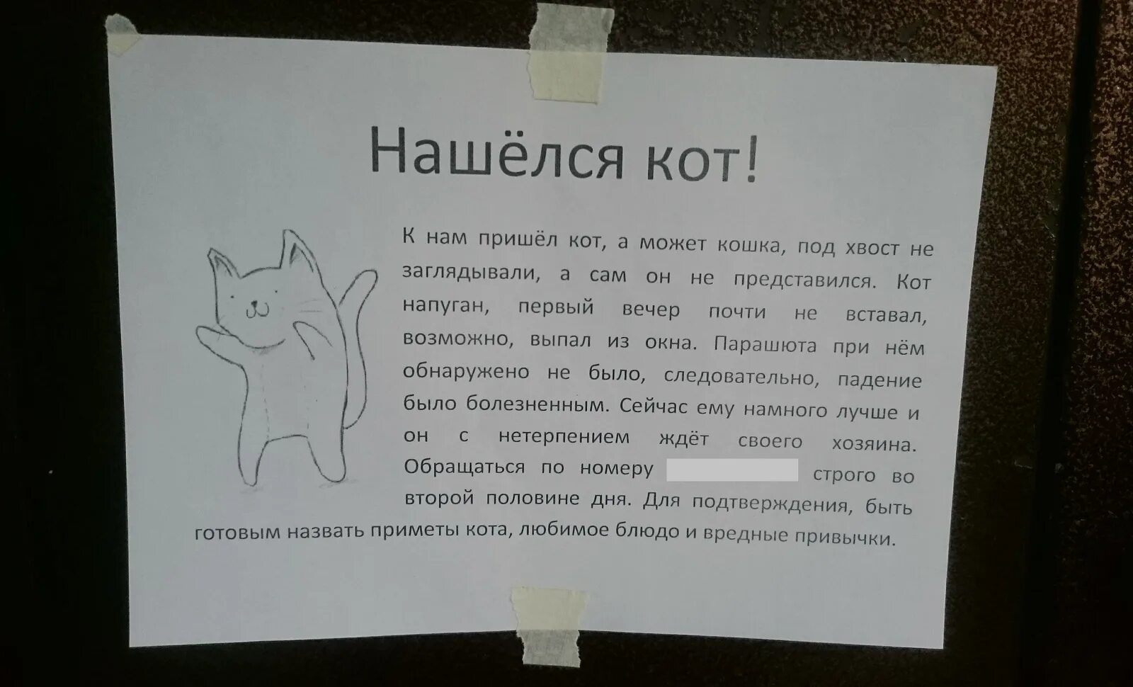 Объявление найденных животных. Смешные объявления о пропаже животных. смешные объявления. объявления о животных. смешное объявление о пропаже кота.