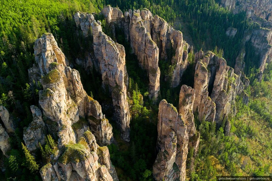 Ленские столбы в Якутии. Ленские столбы заповедник. Парк Ленские столбы Якутск. Природный парк Ленские столбы растительность. Лена столбы природный парк