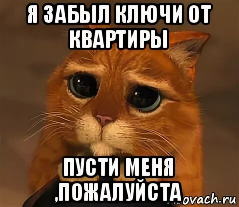 Забыл ключи