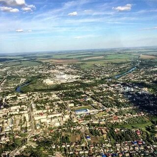 Сколько лебедянь