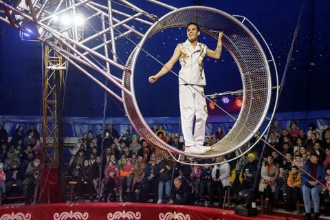 Цирк 2023 отзывы