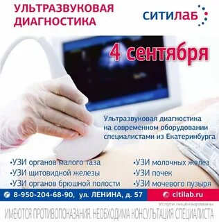 Узи номер 1 элиста телефон